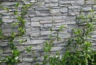 Backmedegreen-walls-4.jpg; ?>